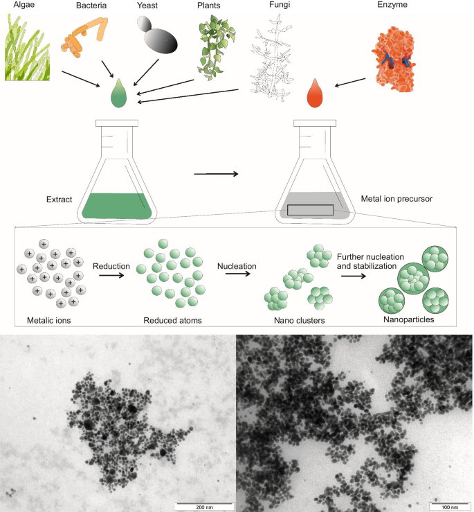 Advanced Approaches to Noble Metal Nanoparticle Synthesis
