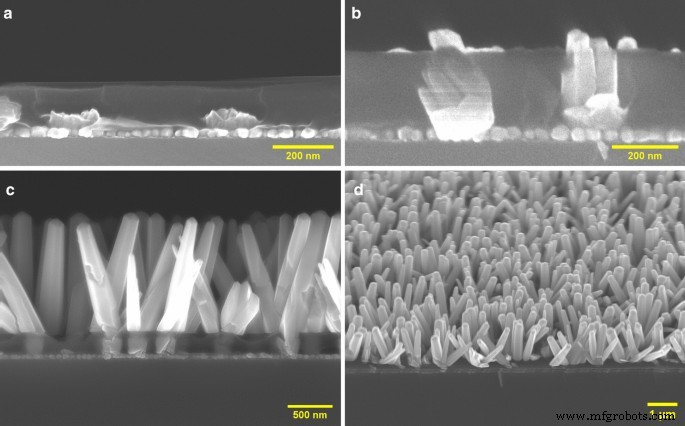 Controlled Growth of Vertically Aligned ZnO Nanorods via Sol‑Gel Seeding and Colloidal Lithography on Si(100) Substrates