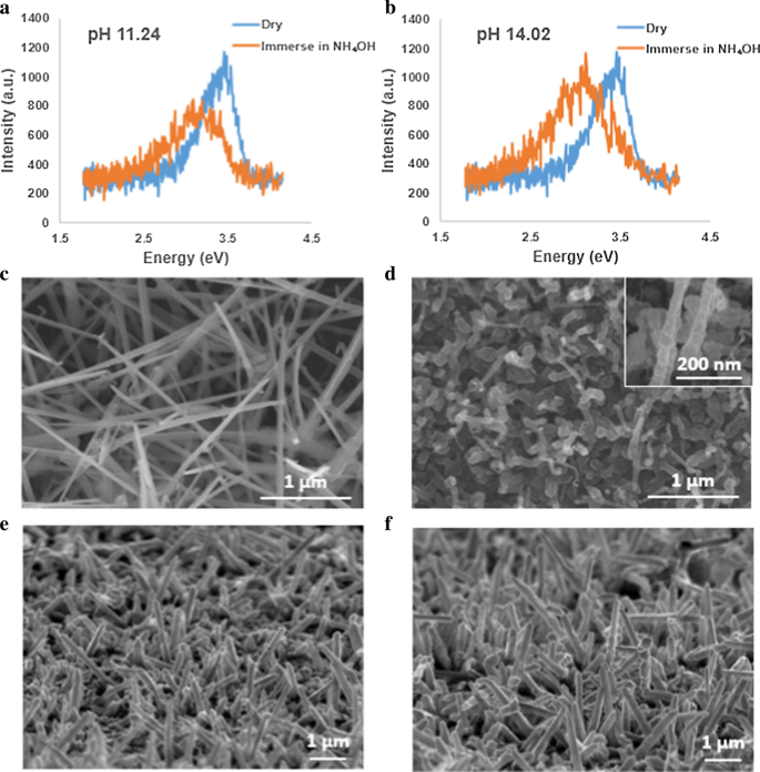 Stable, Reversible Photoluminescence of GaN Nanowires in Aqueous Solutions Tuned by Ionic Concentration