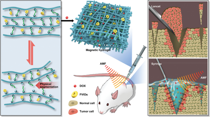 Advances in Thermosensitive Hydrogels for Targeted Tumor Therapy