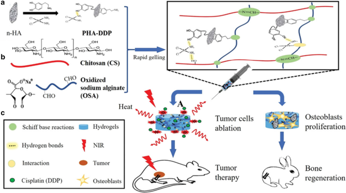 Advances in Thermosensitive Hydrogels for Targeted Tumor Therapy
