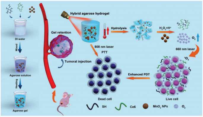 Advances in Thermosensitive Hydrogels for Targeted Tumor Therapy
