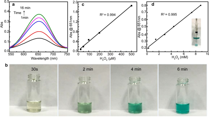 Fe(III)-Hemin Grafted SBA-15: Advanced Catalyst for Dye Degradation, Drug Delivery, and H₂O₂ Detection