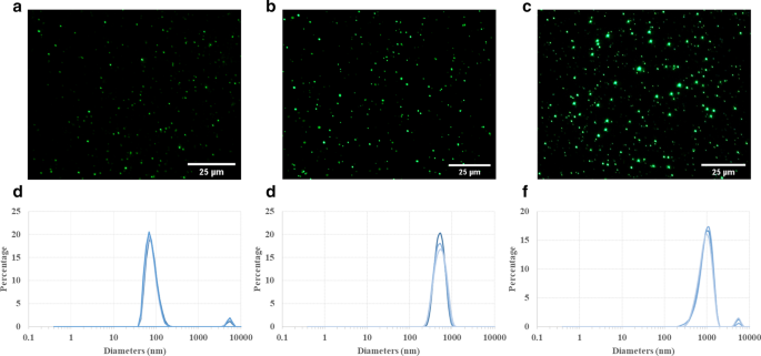 Quantitative Study of PLGA Nanoparticle Uptake in Laryngeal Cancer and Immune Cells to Improve Drug Delivery