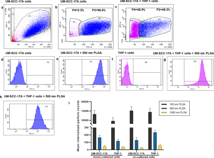 Quantitative Study of PLGA Nanoparticle Uptake in Laryngeal Cancer and Immune Cells to Improve Drug Delivery