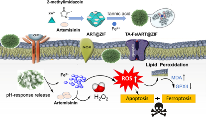 Targeted Delivery of Artemisinin via Fe(II)-Tannic Acid-Cloaked MOF Enhances Ferroptosis in Triple-Negative Breast Cancer