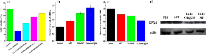 Targeted Delivery of Artemisinin via Fe(II)-Tannic Acid-Cloaked MOF Enhances Ferroptosis in Triple-Negative Breast Cancer