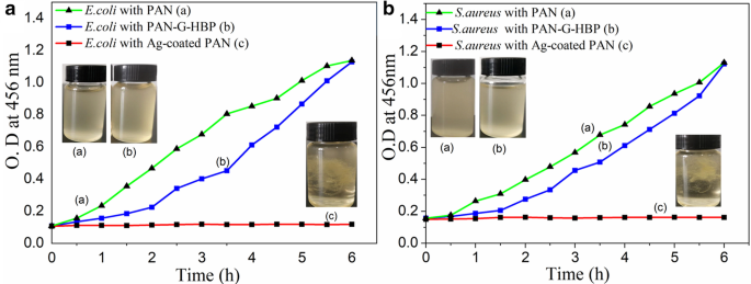In‑Situ Synthesis of Silver Nanoparticles on Amino‑Grafted Polyacrylonitrile Fibers for Enhanced Antibacterial Performance