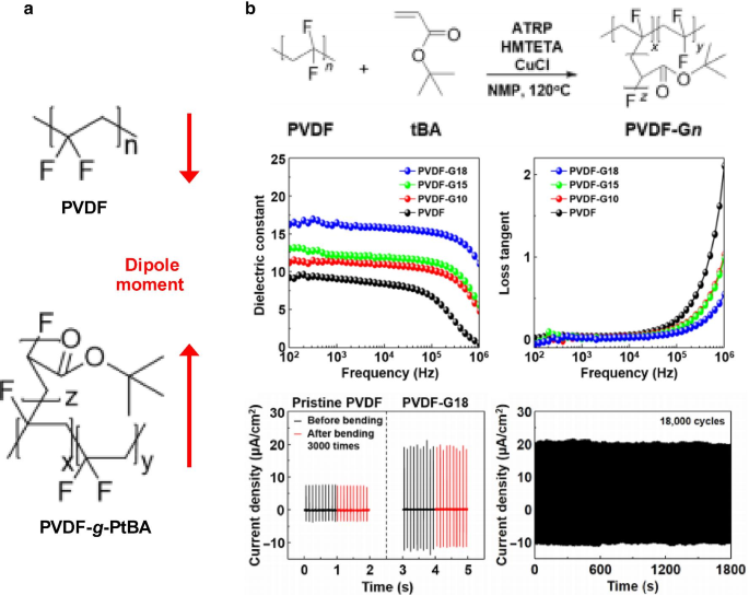 Enhancing Triboelectric Energy Harvesting: A Comprehensive Review of Dielectric Polarization Techniques