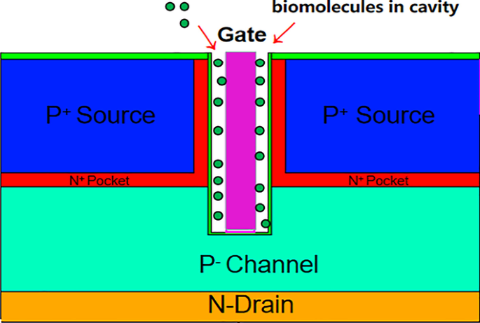 Advanced Simulation of a Dielectric-Modulated Dual-Source Trench Gate TFET Biosensor for Biomolecule Detection