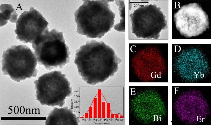 Rapid Synthesis of BiF3@Ln (Gd, Yb, Er) PVP-Coated Nanoparticles for Advanced, Low‑Toxicity CT Imaging
