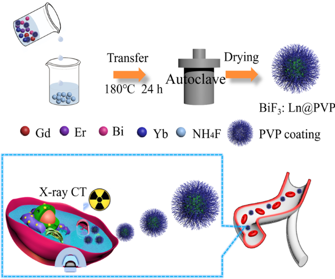 Rapid Synthesis of BiF3@Ln (Gd, Yb, Er) PVP-Coated Nanoparticles for Advanced, Low‑Toxicity CT Imaging
