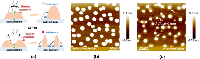 Rapid Size Reconfiguration of MBE-Grown Ga Droplets Using In-Situ UV Pulsed Laser Irradiation