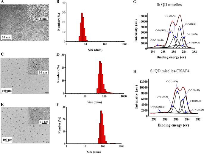 CKAP4-Linked Silicon Quantum Dot Micelles: A Novel Targeted Imaging Agent for Lung Cancer