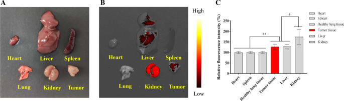 CKAP4-Linked Silicon Quantum Dot Micelles: A Novel Targeted Imaging Agent for Lung Cancer