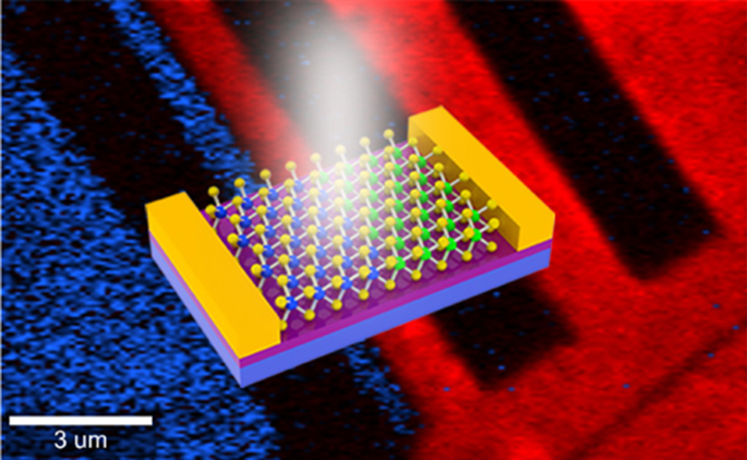 High-Performance Photodetectors Using Lateral Monolayer MoS2/WS2 Heterojunctions