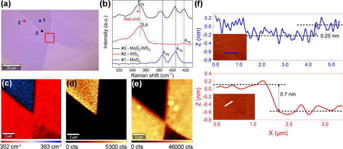 High-Performance Photodetectors Using Lateral Monolayer MoS2/WS2 Heterojunctions
