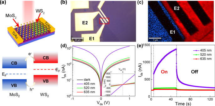 High-Performance Photodetectors Using Lateral Monolayer MoS2/WS2 Heterojunctions