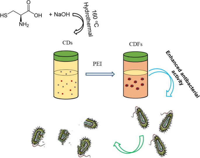 Stable Carbon‑Dot Frameworks with Superior Antibacterial Efficacy