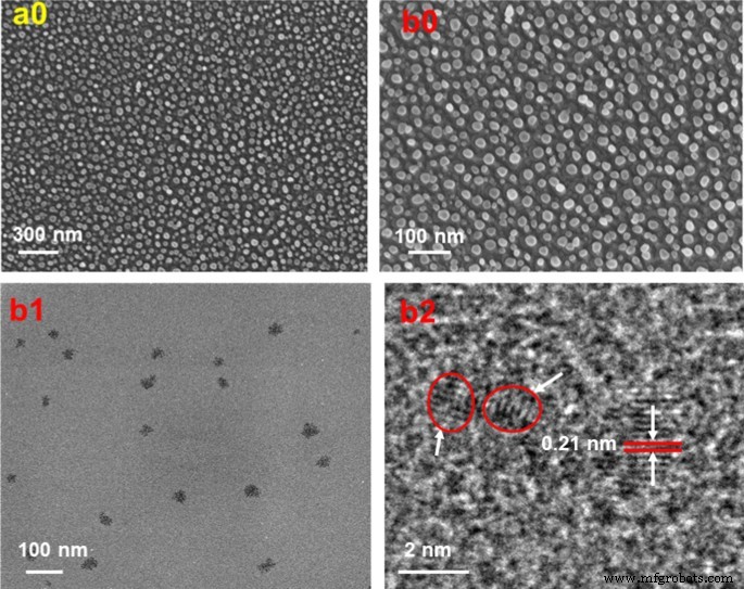 Stable Carbon‑Dot Frameworks with Superior Antibacterial Efficacy
