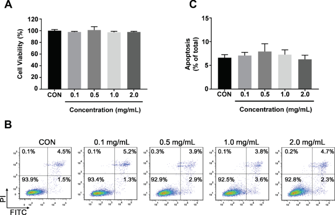 CoFe₂O₄ Quantum Dots: Dual Photothermal/Photodynamic Therapy for NSCLC—Inducing Apoptosis via PI3K/AKT Modulation