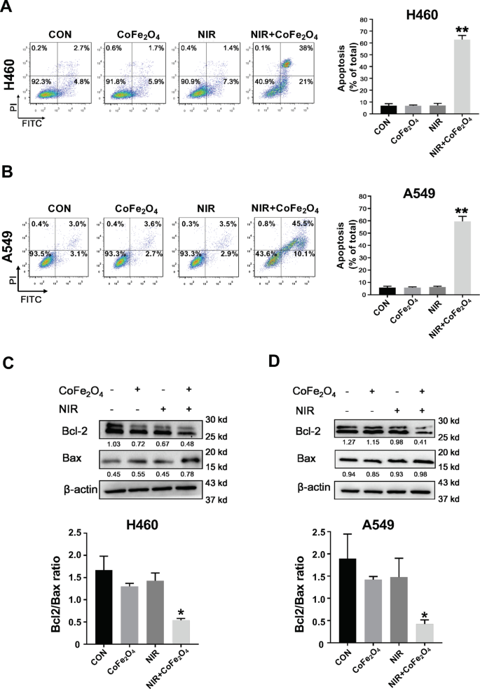 CoFe₂O₄ Quantum Dots: Dual Photothermal/Photodynamic Therapy for NSCLC—Inducing Apoptosis via PI3K/AKT Modulation
