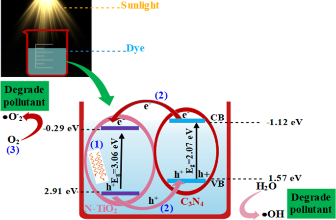 Enhanced TiO₂ Catalysis and Antimicrobial Efficacy via Nitrogen and Carbon Nitride Co‑Doping