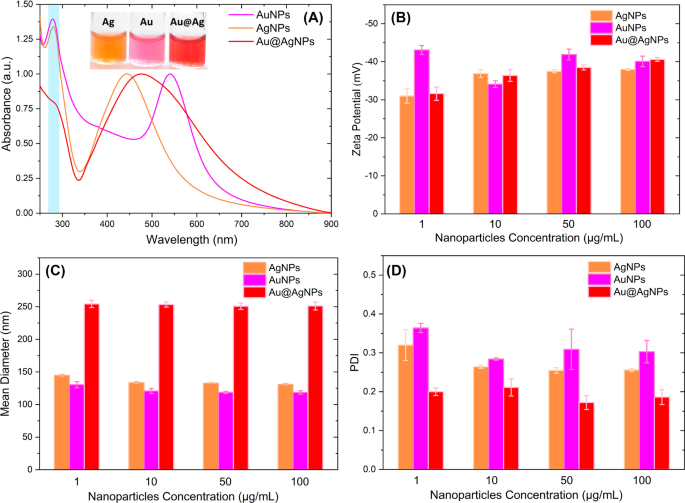 Biogenic Au@Ag Core–Shell Nanoparticles Synthesized Using Rumex hymenosepalus Extract for Antimicrobial Applications