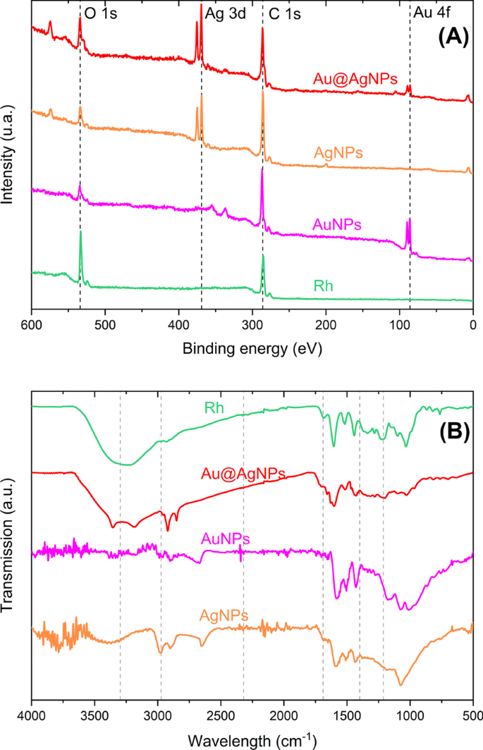 Biogenic Au@Ag Core–Shell Nanoparticles Synthesized Using Rumex hymenosepalus Extract for Antimicrobial Applications