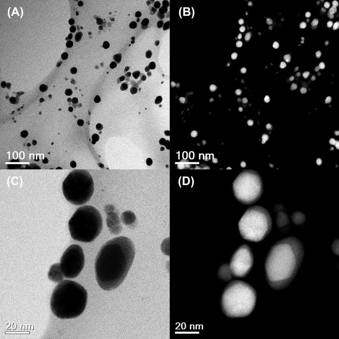 Biogenic Au@Ag Core–Shell Nanoparticles Synthesized Using Rumex hymenosepalus Extract for Antimicrobial Applications
