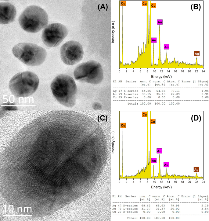 Biogenic Au@Ag Core–Shell Nanoparticles Synthesized Using Rumex hymenosepalus Extract for Antimicrobial Applications