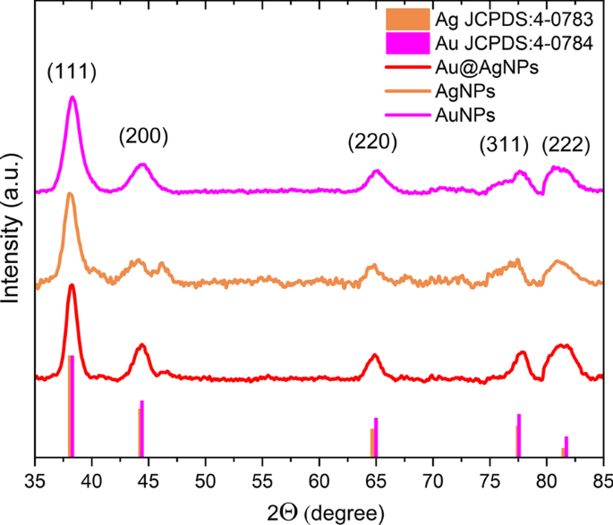 Biogenic Au@Ag Core–Shell Nanoparticles Synthesized Using Rumex hymenosepalus Extract for Antimicrobial Applications