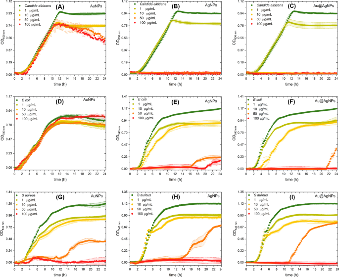 Biogenic Au@Ag Core–Shell Nanoparticles Synthesized Using Rumex hymenosepalus Extract for Antimicrobial Applications
