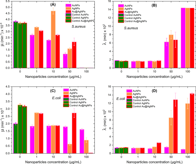 Biogenic Au@Ag Core–Shell Nanoparticles Synthesized Using Rumex hymenosepalus Extract for Antimicrobial Applications