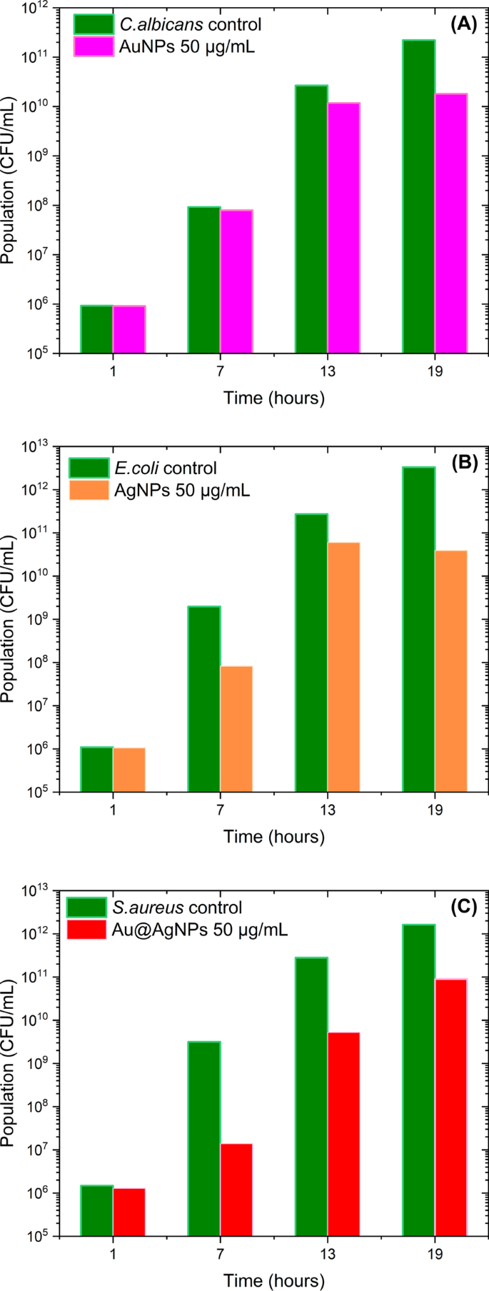 Biogenic Au@Ag Core–Shell Nanoparticles Synthesized Using Rumex hymenosepalus Extract for Antimicrobial Applications