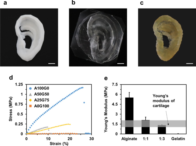Hydrogel-Assisted Electrospinning for Conformal Nanofiber Coating on 3D Ear Cartilage Hydrogel Collectors