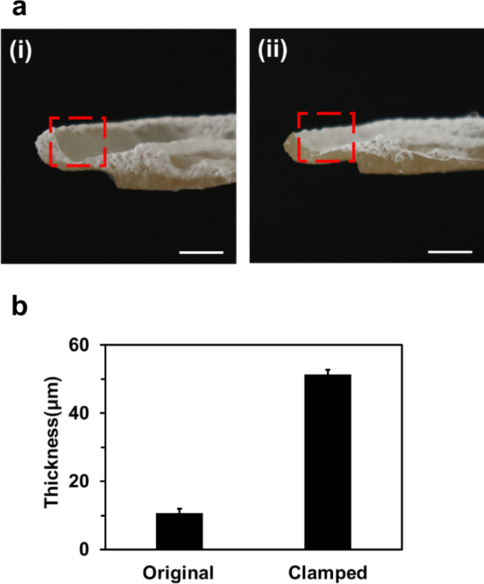 Hydrogel-Assisted Electrospinning for Conformal Nanofiber Coating on 3D Ear Cartilage Hydrogel Collectors