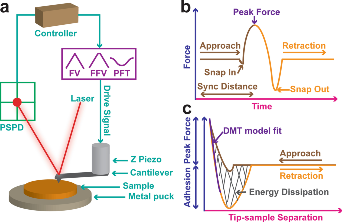 Quantitative Nanomechanical Mapping of LDPE Elastomers Using Atomic Force Microscopy