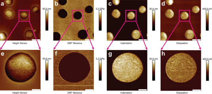 Quantitative Nanomechanical Mapping of LDPE Elastomers Using Atomic Force Microscopy