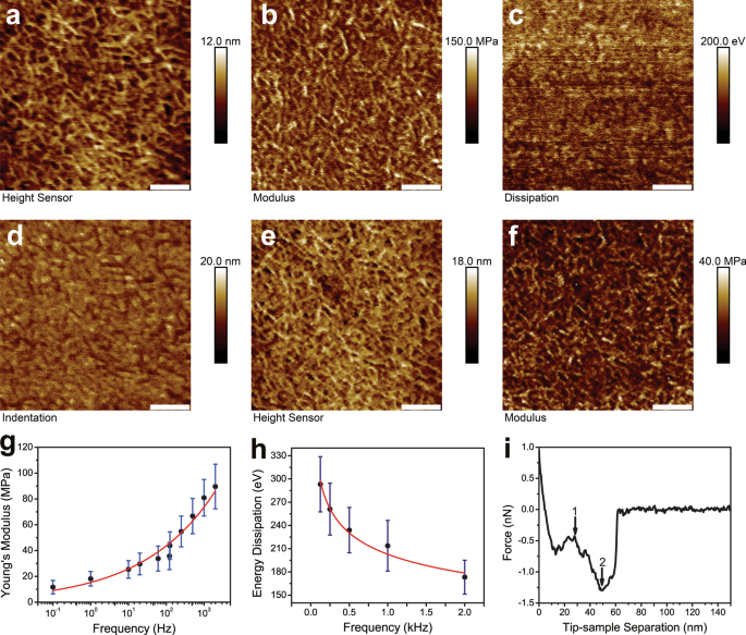 Quantitative Nanomechanical Mapping of LDPE Elastomers Using Atomic Force Microscopy