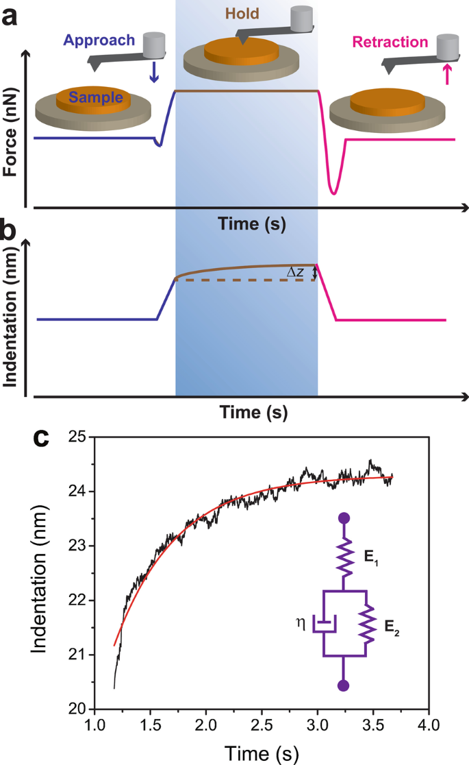 Quantitative Nanomechanical Mapping of LDPE Elastomers Using Atomic Force Microscopy