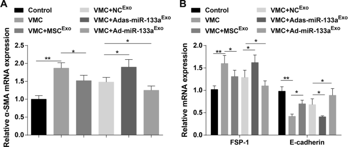 Exosomal miR-133a from Bone Marrow Stem Cells Mitigates Fibrosis & EMT in Viral Myocarditis via MAML1 Suppression