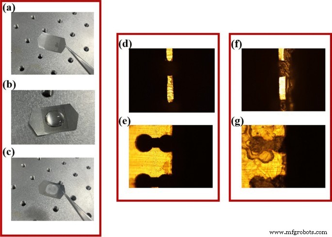 All‑Metal Terahertz Metamaterial Biosensor Achieves Ultra‑High Sensitivity for Protein Detection