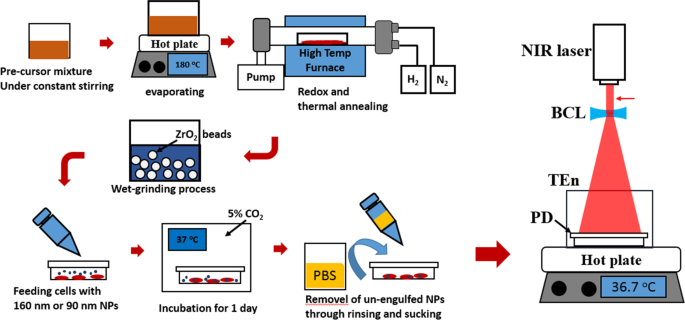 Optimizing NIR-Triggered Hyperthermia with Cs0.33WO3 Nanoparticles for HepG2 Liver Cancer Treatment