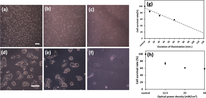 Optimizing NIR-Triggered Hyperthermia with Cs0.33WO3 Nanoparticles for HepG2 Liver Cancer Treatment