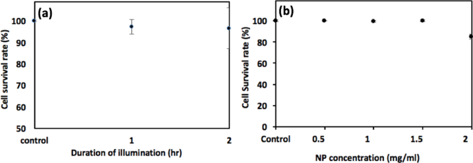 Optimizing NIR-Triggered Hyperthermia with Cs0.33WO3 Nanoparticles for HepG2 Liver Cancer Treatment