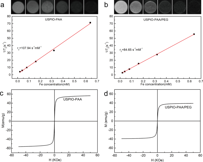 Ultrasmall Superparamagnetic Iron Oxide Nanoparticles for Stem Cell Tracking in Parkinson’s Therapy