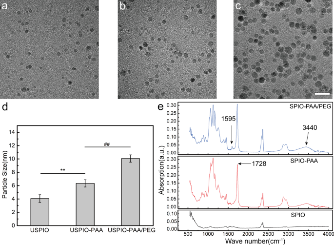 Ultrasmall Superparamagnetic Iron Oxide Nanoparticles for Stem Cell Tracking in Parkinson’s Therapy