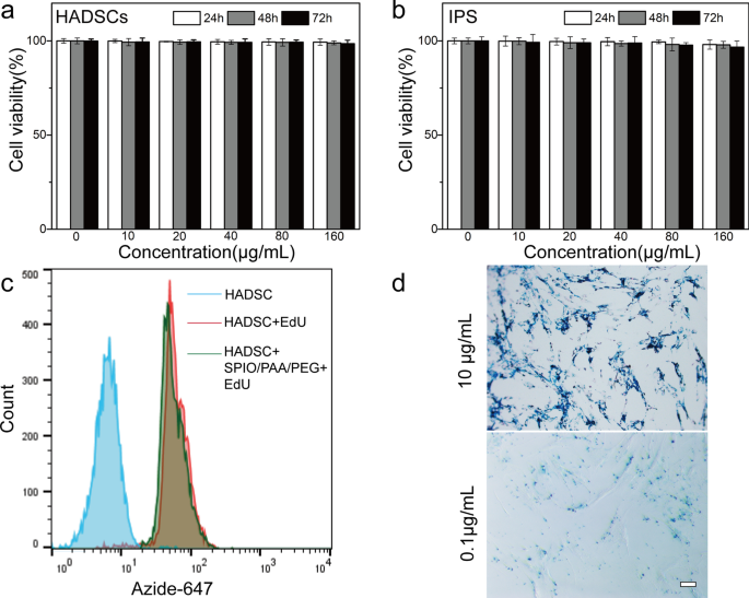 Ultrasmall Superparamagnetic Iron Oxide Nanoparticles for Stem Cell Tracking in Parkinson’s Therapy
