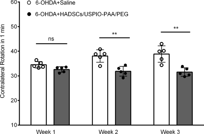 Ultrasmall Superparamagnetic Iron Oxide Nanoparticles for Stem Cell Tracking in Parkinson’s Therapy